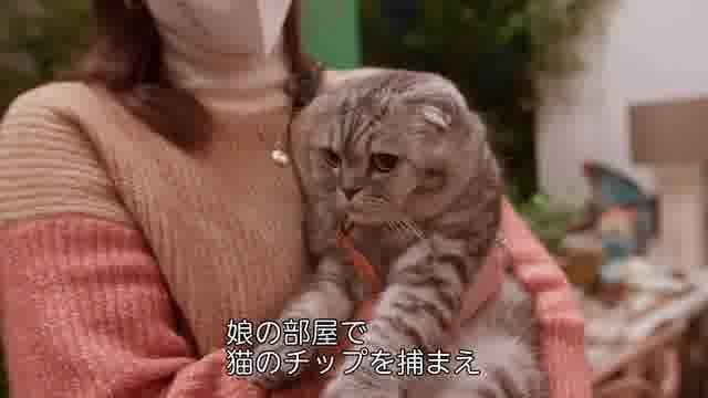 特別映像2